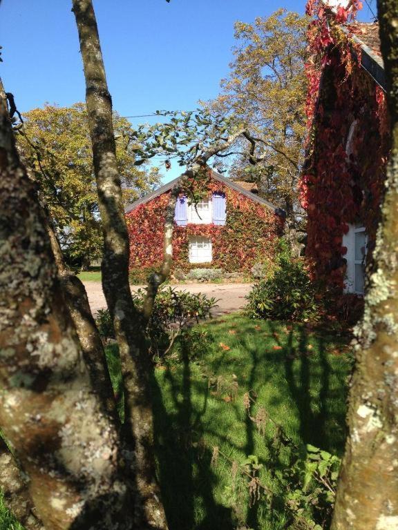 Gite Et Roulotte Dans Les Vosges Remiremont Bagian luar foto